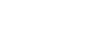 Lane Authority