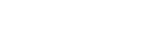 Metropolis Authority