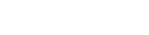 New Boston Authority