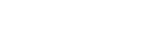 Homer Glen Authority