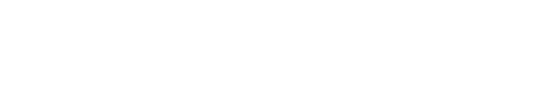 Johnston City Authority